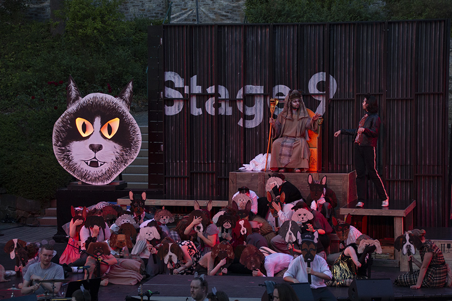 Cats - Musicalgruppe – Bild 7